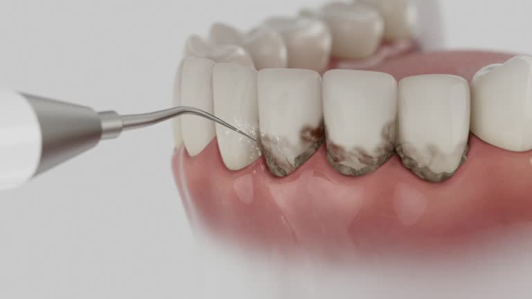Reliable Dental contractor in Newaygo, MI by Dentist Open Now